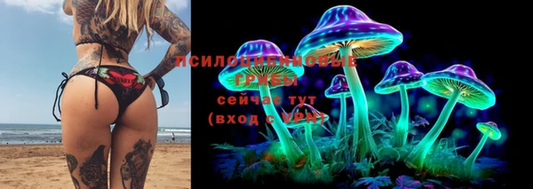 МДМА Няндома