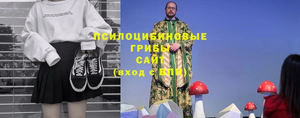 Альфа ПВП Верея