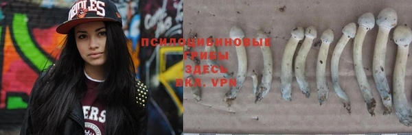 эйфоретик Верхний Тагил